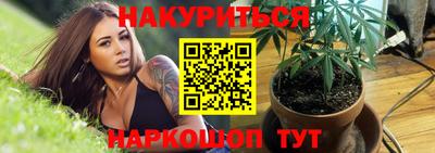 кокс Можга
