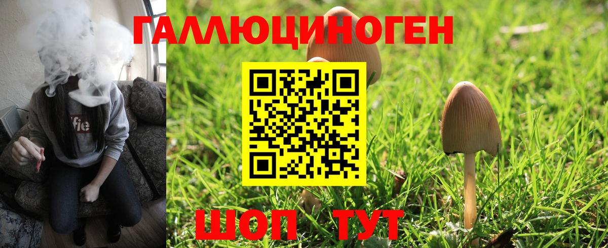 Фурманов  где купить наркоту  Вход с VPN  Псилоцибиновые грибы Magic Shrooms 