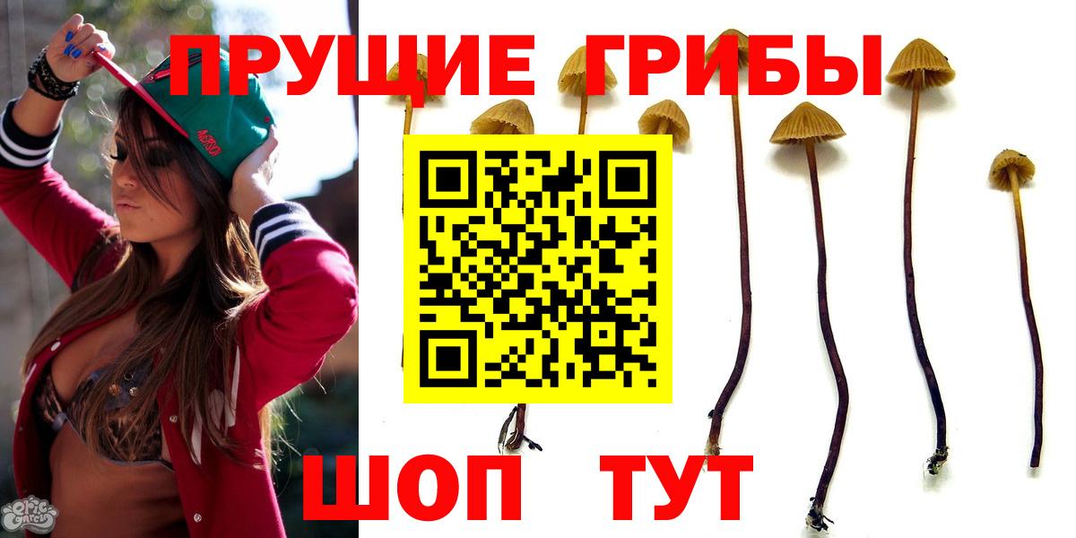 Псилоцибиновые грибы ЛСД Фурманов